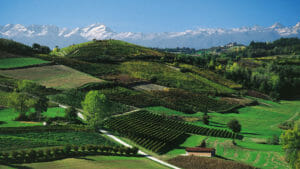 Corsi di Massaggio in Piemonte con Oligenesi