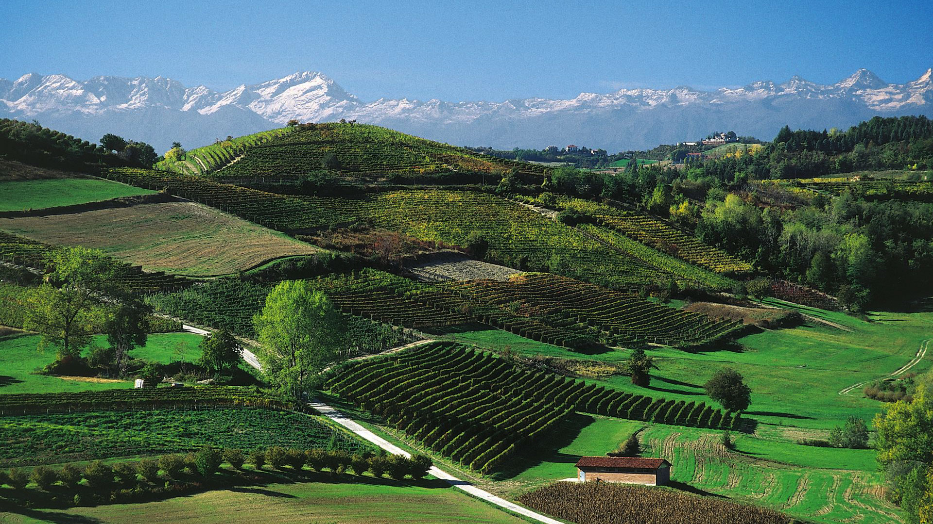 Corsi di Massaggio in Piemonte con Oligenesi Oligenesi Olistica