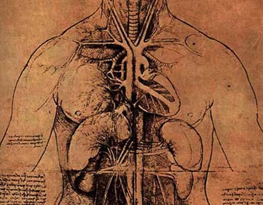 Corso di Anatomia nella tua città