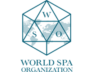 Logo WSO